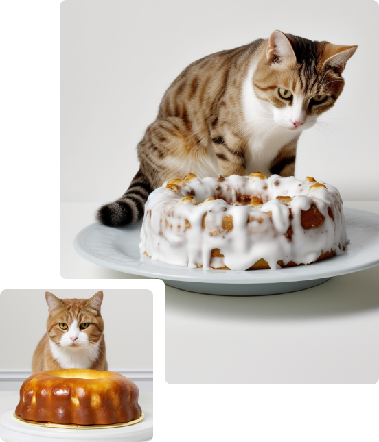 Cat looking at cake