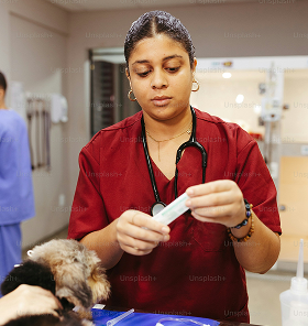 Dr. Olivia Rhye